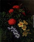 Johan Laurentz Jensen Allemanda, Ixora and Orchids painting